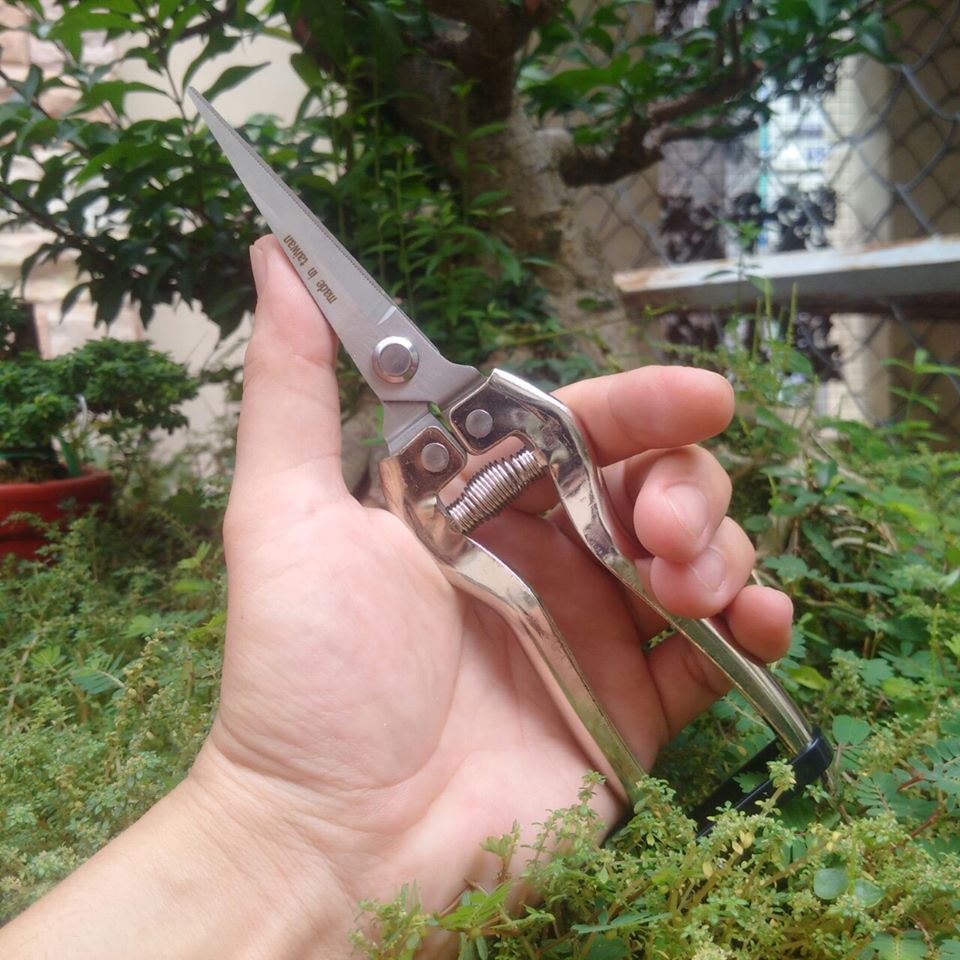 Kéo cắt cành cây nhánh hái trái - K101