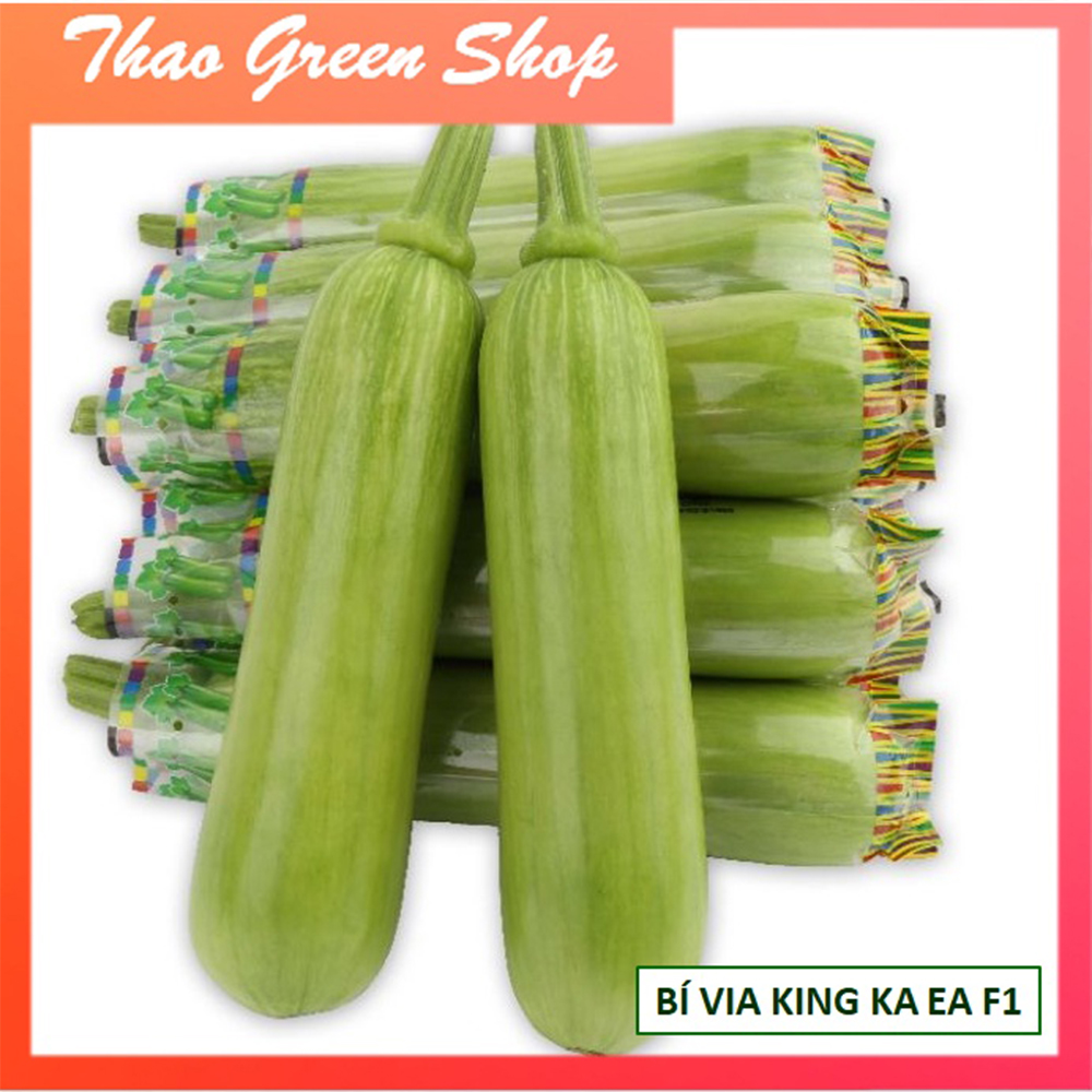 Hạt giống bí vua king ka ea f1 hàn quốc