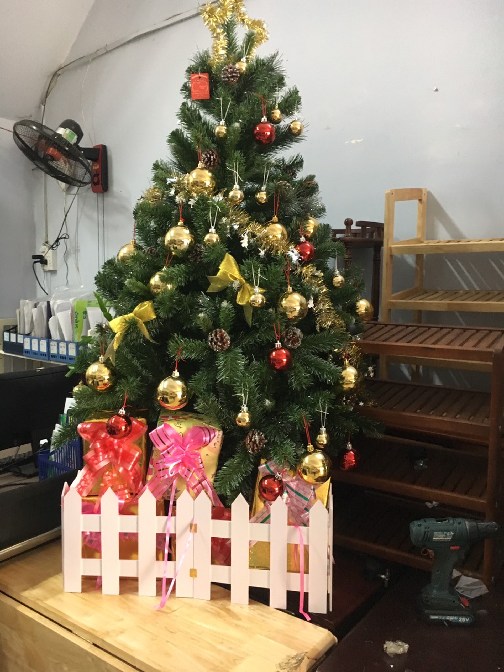 [HCM][LÁ DÀY+ CÓ TRÁI THÔNG] Cây Thông Noel Cao 1m5 Cây Thông 3 Loại Lá Gắn Trái Thông