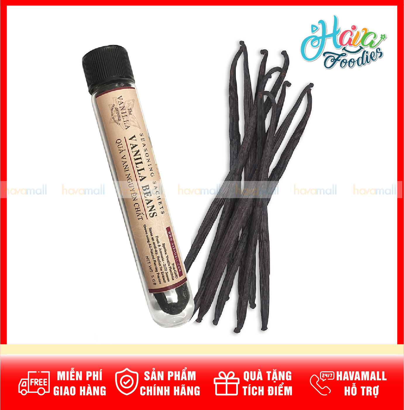 [ HÀNG CÔNG TY NHẬP KHẨU ] Một Trái Vani Khô Thượng Hạng - Vanilla Bean