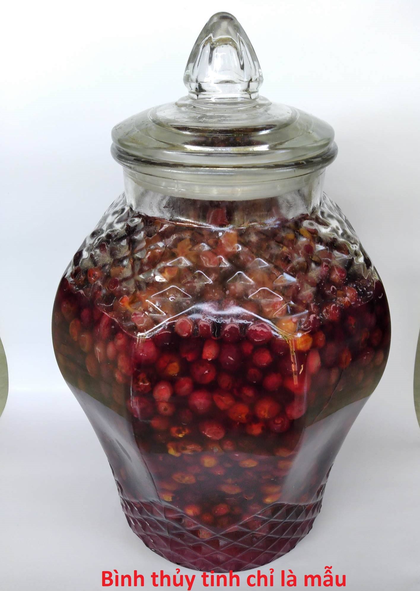 NHO RỪNG NGÂM ĐƯỜNG PHÈN (1 LÍT)