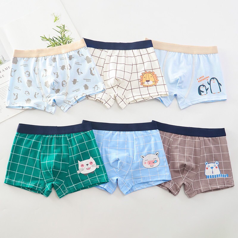 Combo 6 quần chíp bé trai-quần lót bé trai đủ size 7-45kg chất cotton mềm