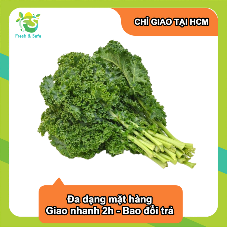 [Chỉ Giao HCM] Cải Xoăn Kale - 500g