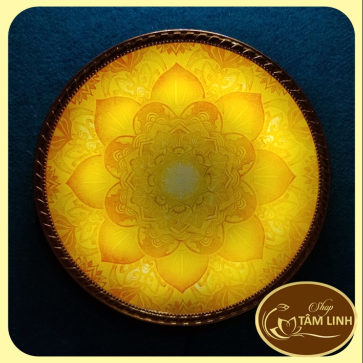 [HCM]Hào Quang Mẫu Trúc Chỉ 30cm x 30cm