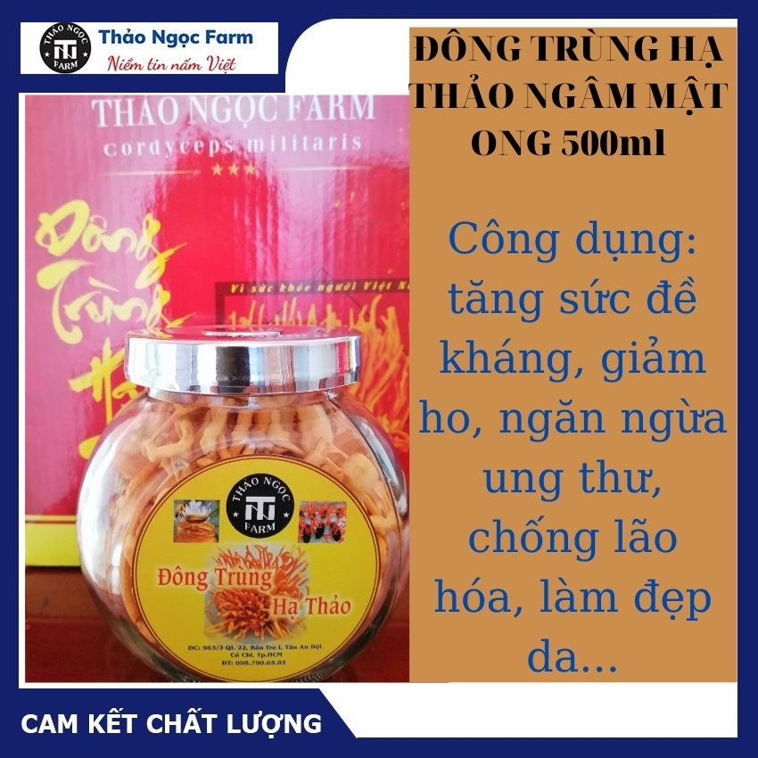 Mật ong ngâm đông trùng hạ thảo- thảo ngọc farm