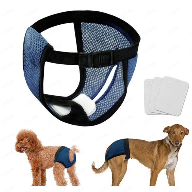 Quần sinh lý cho Chó mèo bằng vải lưới xốp mềm mại, thoáng mát (mẫu mới) - Hara Pet Store