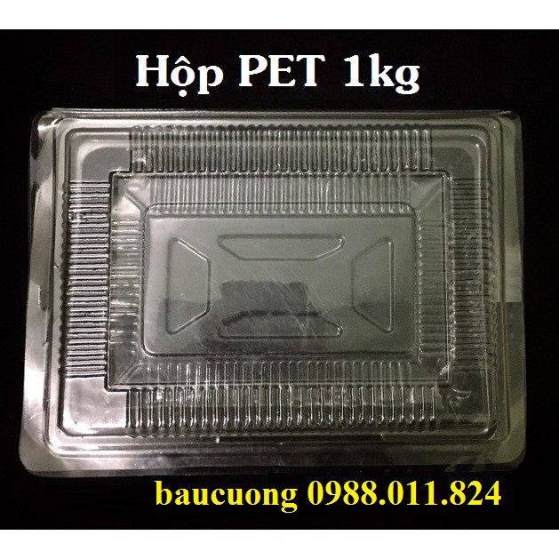 100 hộp nhựa PET đựng 1kg ( hộp 1kg bấm ghim)