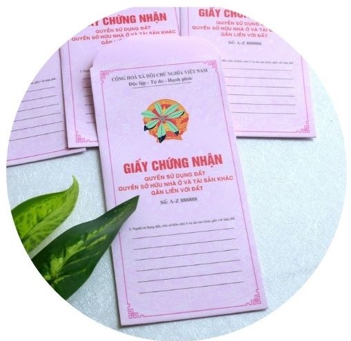 Bao lì xì 2024 - bao lì xì sổ hồng, sổ đỏ độc lạ - túi 10c