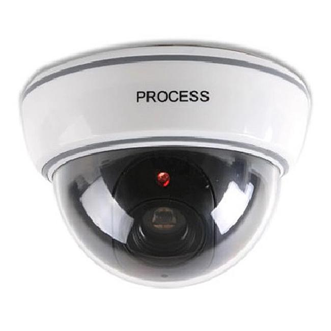 Camera mô hình chống trộm ds-1500b