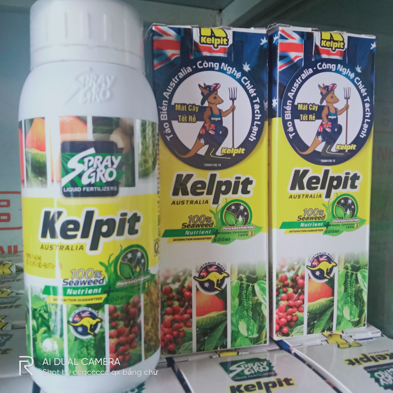 Kelpit - phân bón lá hữu cơ cao cấp từ tảo biển - kích thích bộ rê tăng trưởng mạnh -tăng tỷ lệ nảy mầm...
