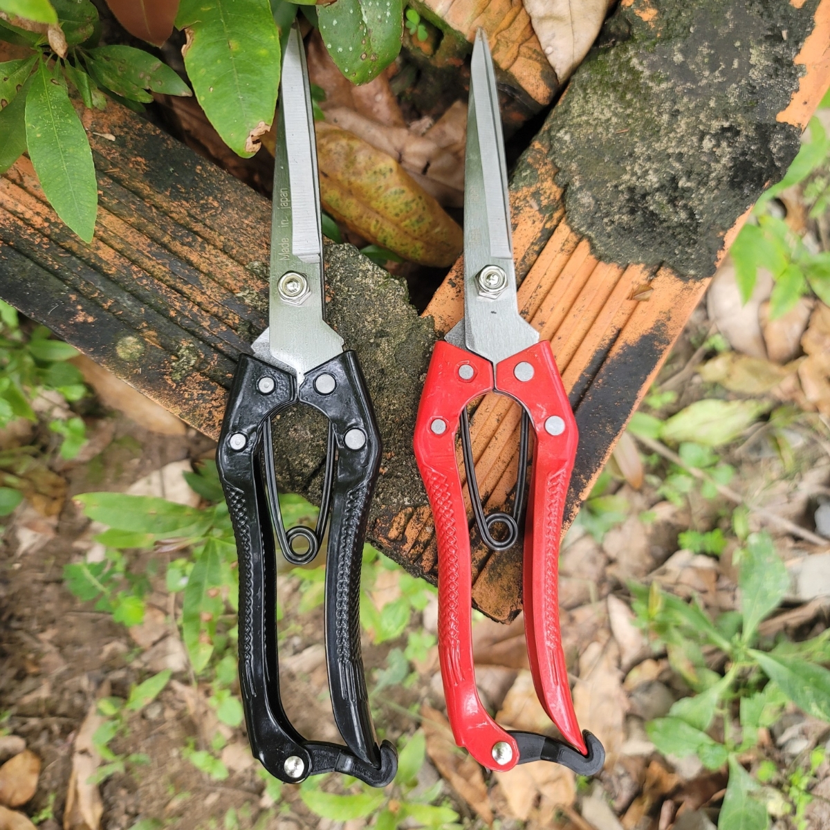 Combo 2 kéo tỉa cành sk5 kéo tỉa dăm cây cảnh bonsai made in japan - dụng cụ bonsai hàng nhật