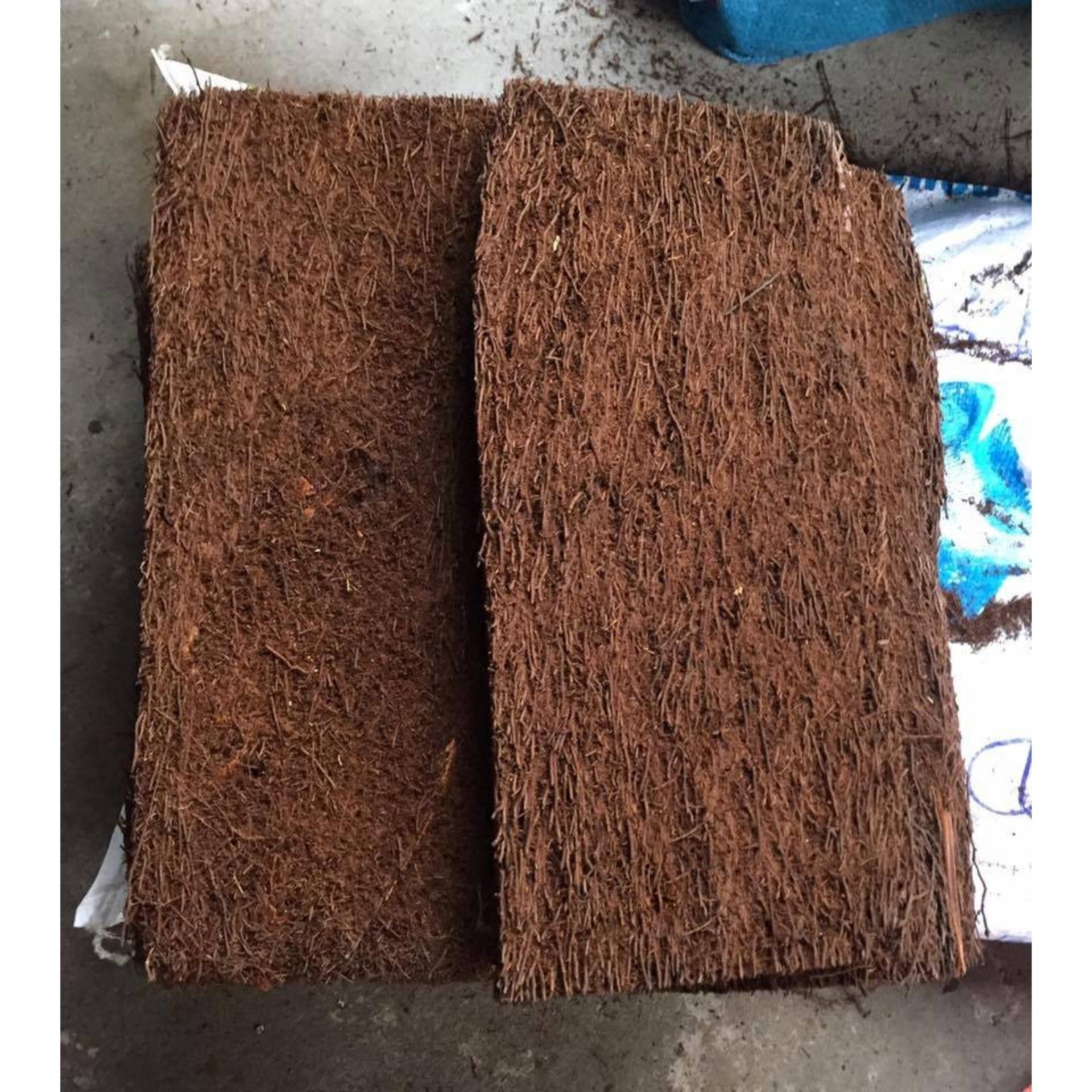 Dớn bảng trồng lan KT 59x17x4 cm