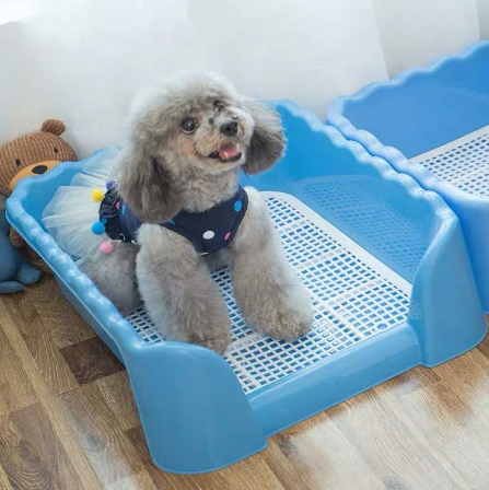 🐩 khay vệ sinh chó huấn luyện chó đi vệ sinh thành cao size to bằng nhựa cao cấp 🐩