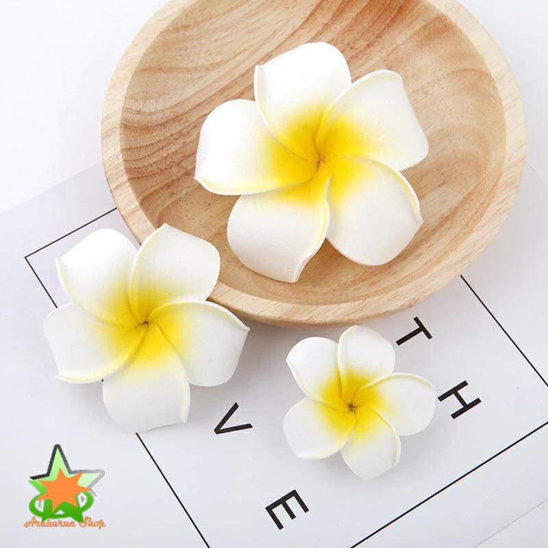 Hoa Đại Cài Tóc Đi Biển Siêu Hot