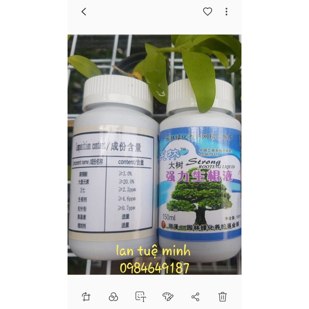 Kích rễ Đài Loan siêu mạnh Rooting strong chất lượng cao, cam kết sản phẩm đúng mô tả, chất lượng đảm bảo