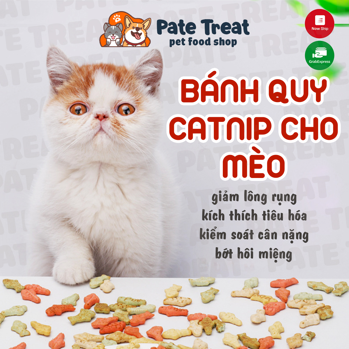 Treat bánh thưởng cho chó mèo Bánh quy catnip snack cho mèo 30gram PATE TREAT