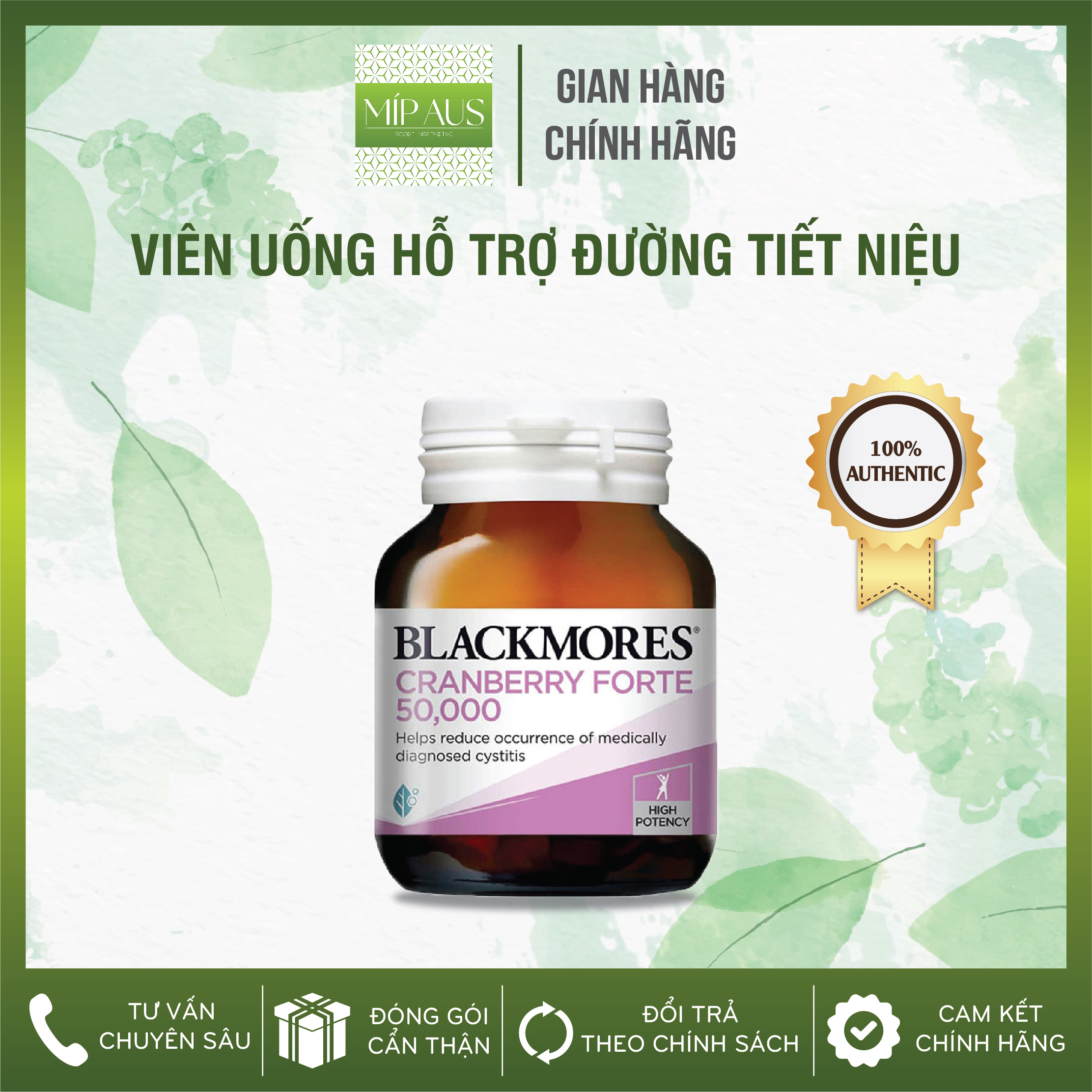 Viên uống hỗ trợ đường tiết niệu, bàng quang hàm lượng cao 50000mg - blackmores cranberry forte