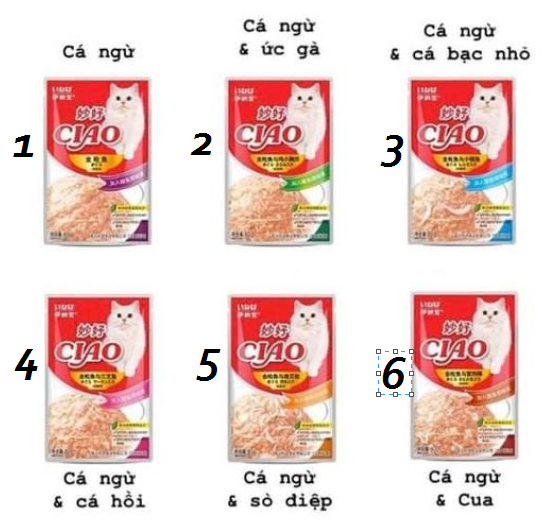 Pate mèo Ciao gói 60g