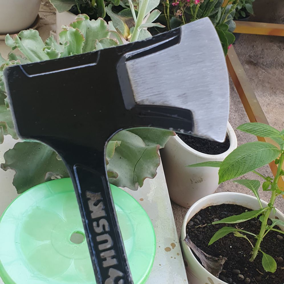 Rìu HusKy Hàng Bãi Mỹ