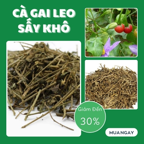 Cà gai leo sấy khô 500g - tấn phát - Hỗ trợ thanh nhiệt giải độc và làm mát gan - Hàng công ty mới về hàng