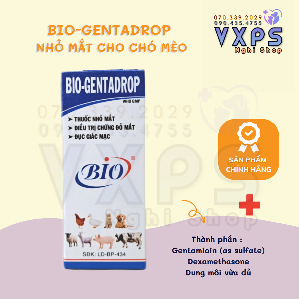 Thuốc nhỏ mắt cho chó mèo - Bio Gentadrop 10ml