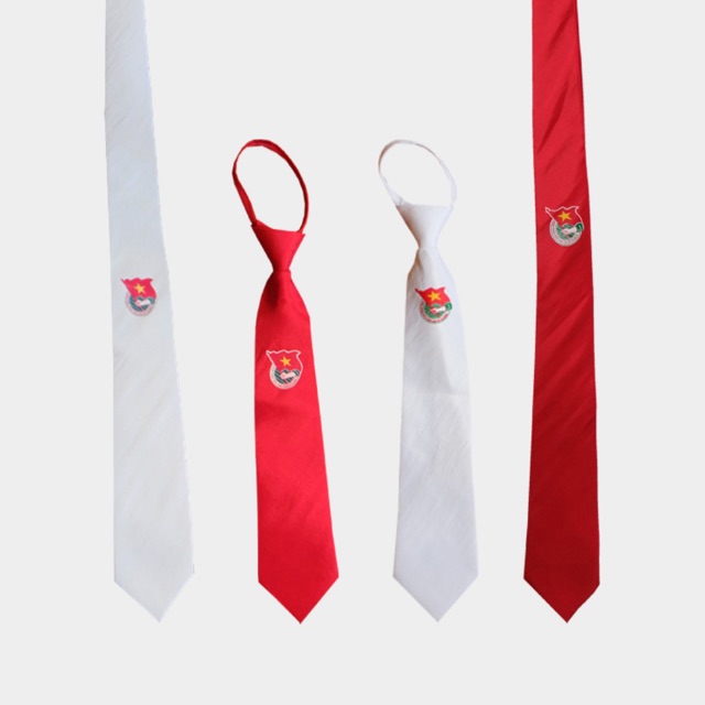 Cà Vạt Đoàn Thanh Niên , Cà Vạt Đoàn _Bán Buôn