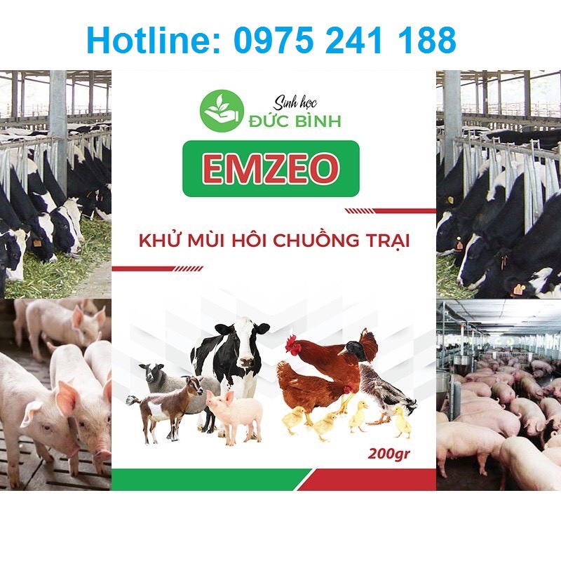 Chế phẩm Emzeo khử mùi hôi chuồng gà (cách nuôi gà không hôi hiệu quả cho bà con)