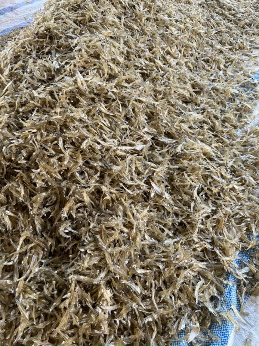 Khô cá cơm thịt trắng khô queo hàng đi xa thoải mái, Khô Ông Chín