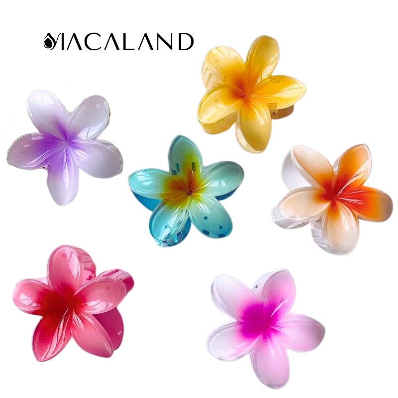 Kẹp tóc hoa sứ nhiều màu sắc loại lớn 8cm