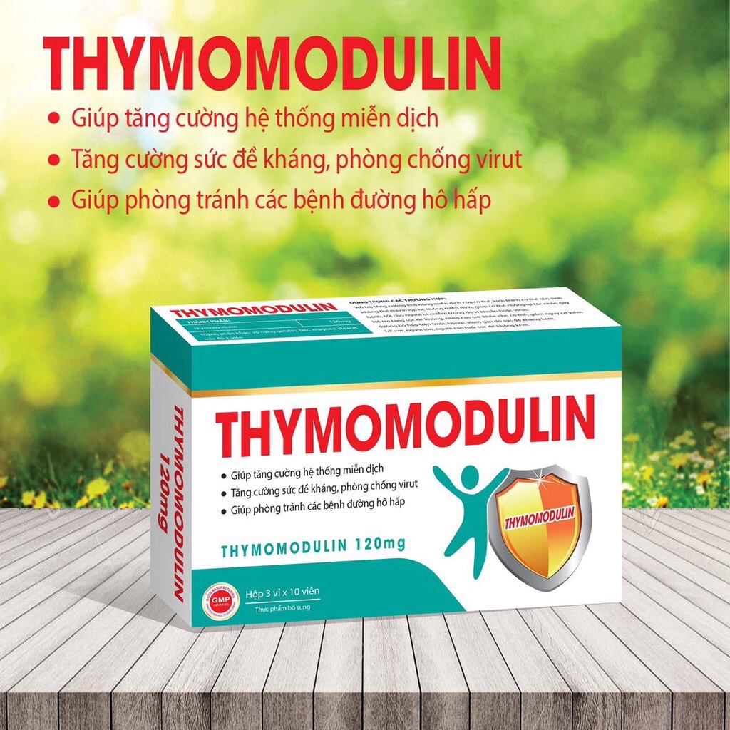 Viên uống Thymomodulin 120mg (Hộp 30 viên) hỗ trợ tăng cường miễn dịch, tăng sức đề kháng, phòng bệnh đường hô hấp