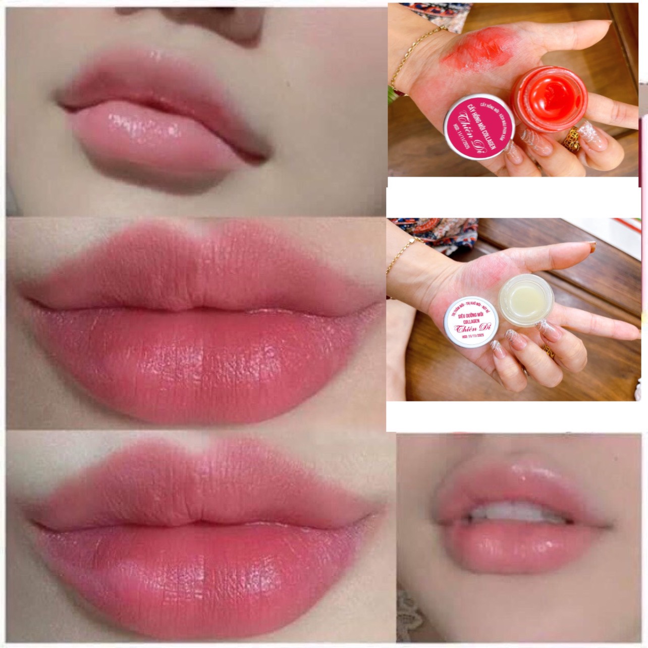 [Hoàn tiền 20%] [MẪU MỚI] COMBO  CẤY MÀU MÔI TẾ BÀO GỐC THIÊN DI GIẢM THÂM MÔI CẤY HỒNG MÔI HIỆU QUẢ KHÔNG CẦN PHUN XĂM