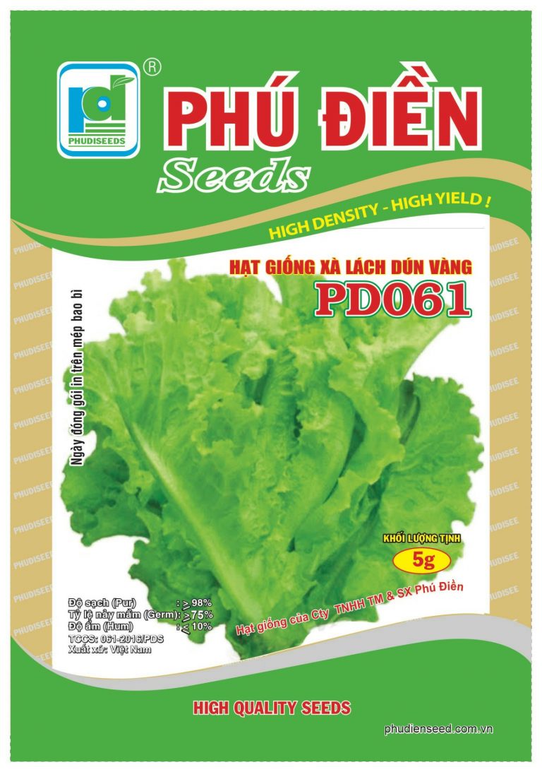 Hạt giống rau xà lách dún vàng pd061