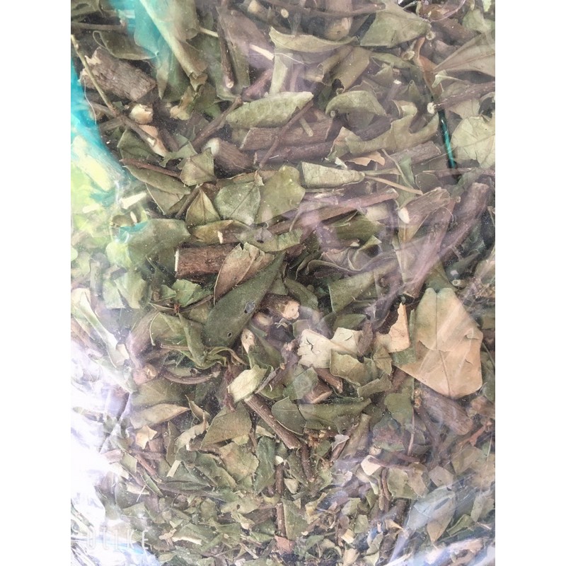 Dây thìa canh lá to khô