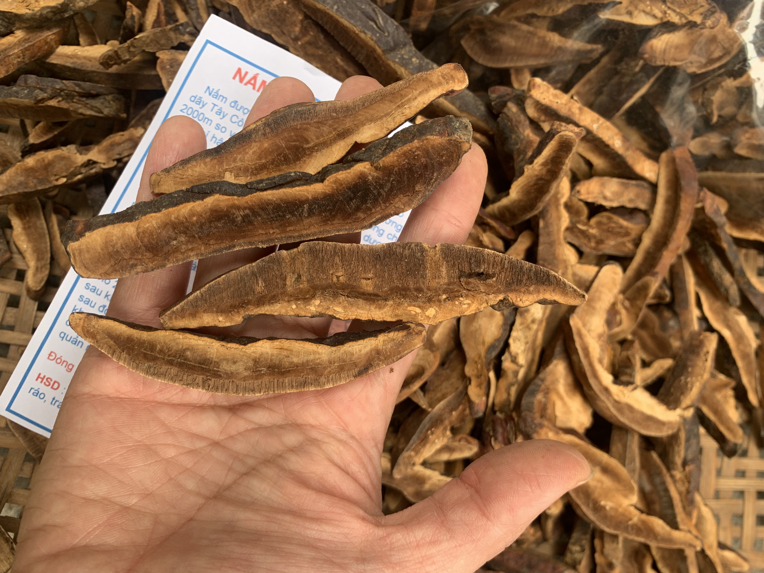 Nấm hồng chi rừng thái lát (gói 500g), nấm linh chi hồng chi, hàng rừng tự nhiên phơi khô, hỗ trợ ung thư, giải độc gan, ổn định huyết áp