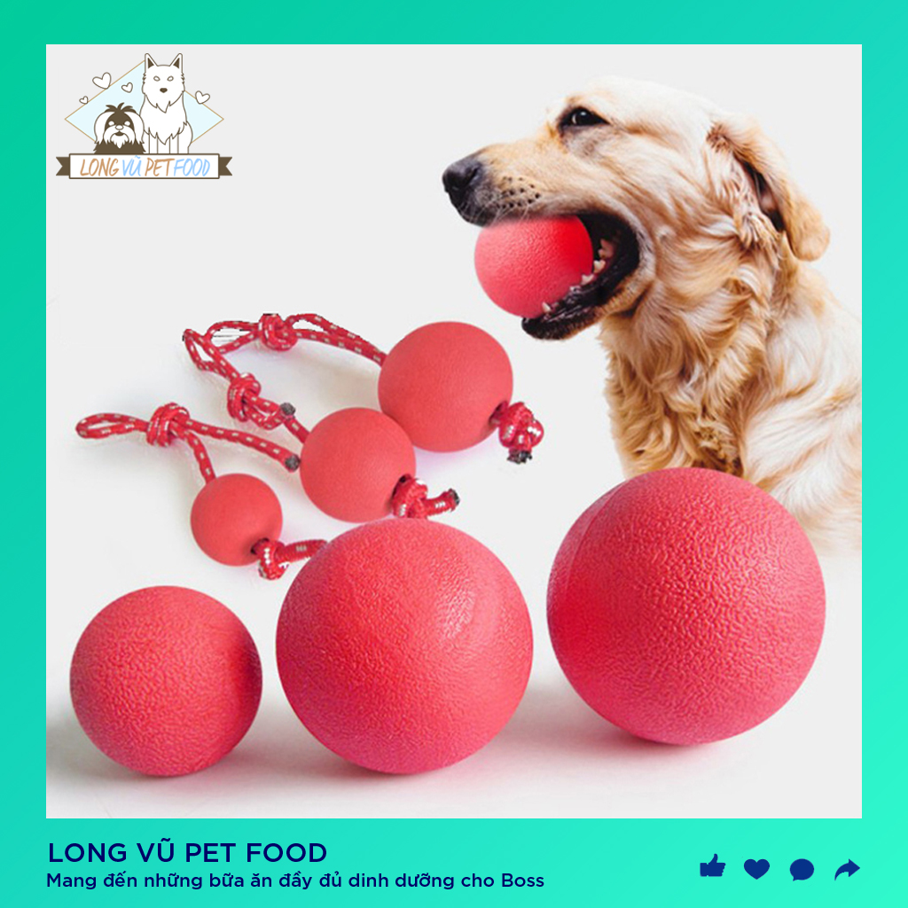 Bóng Cao Su Huấn Luyện Chó Mèo Thú Cưng - Long Vũ Pet Food