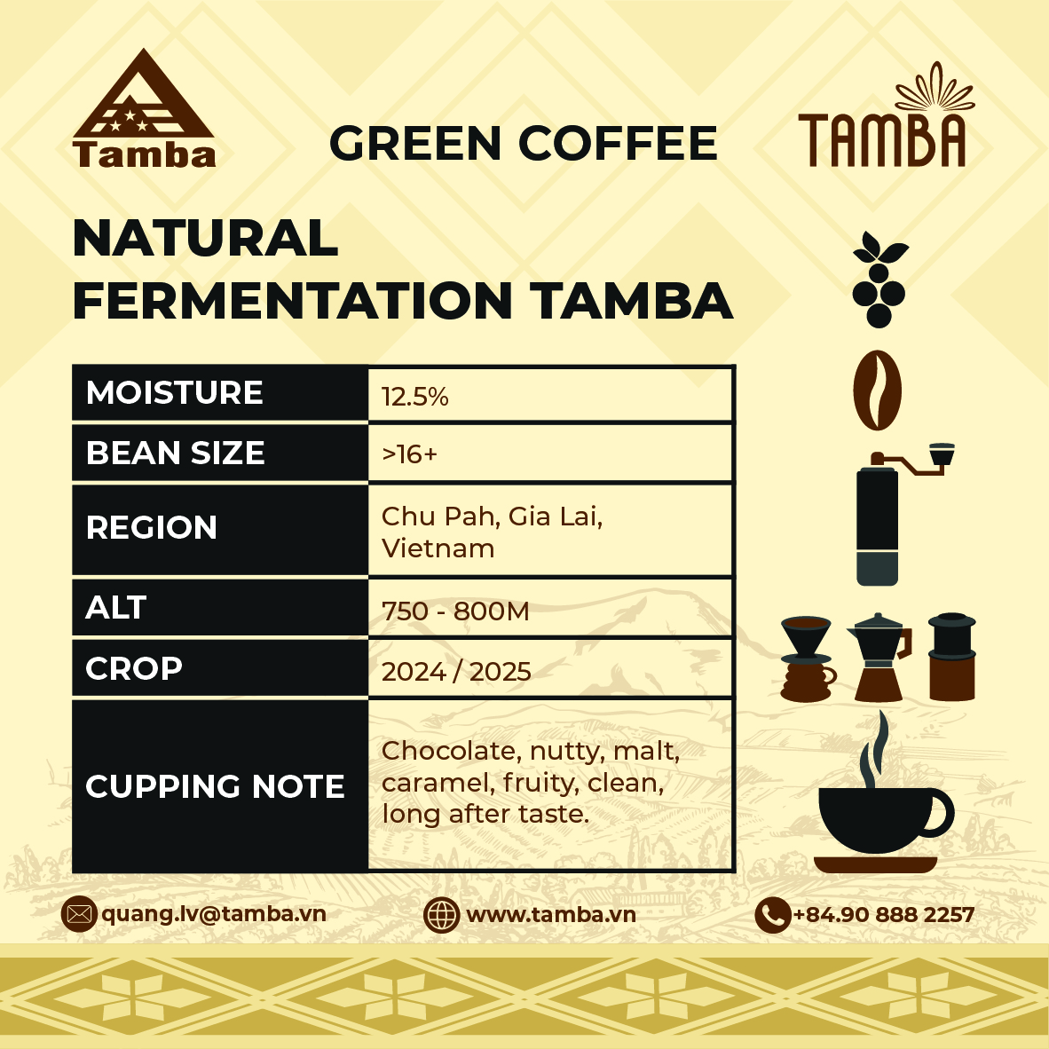 Cà phê nhân xanh Robusta 2024/2025 - NATURAL FERMENT _ Trang trại cà phê Tamba Gia Lai