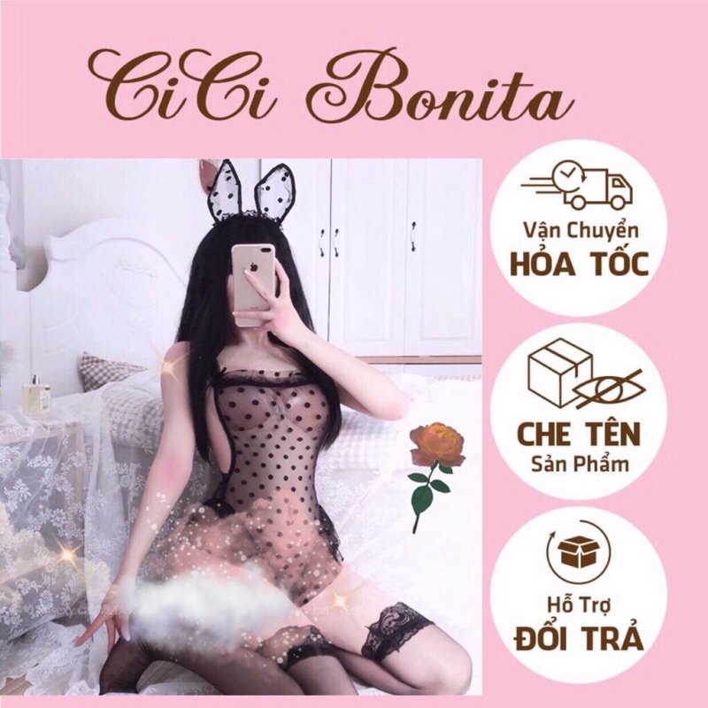 Bodysuit ren chấm bi cosplay bé thỏ đáng yêu sexy / đồ lót liền thân gợi cảm cp50 cici bonita hcm