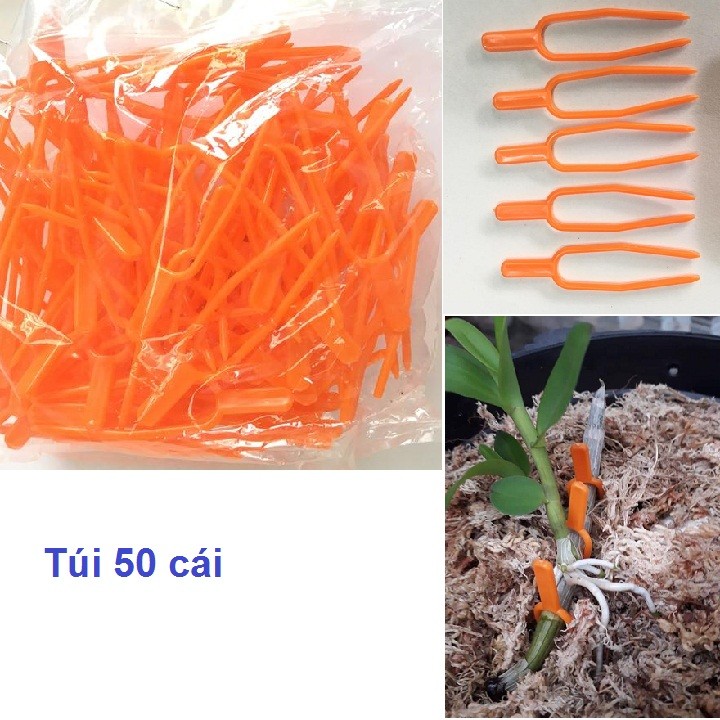 Combo 50- 100 Kẹp càng cua cố định kie cho phong lan cố định dây leo