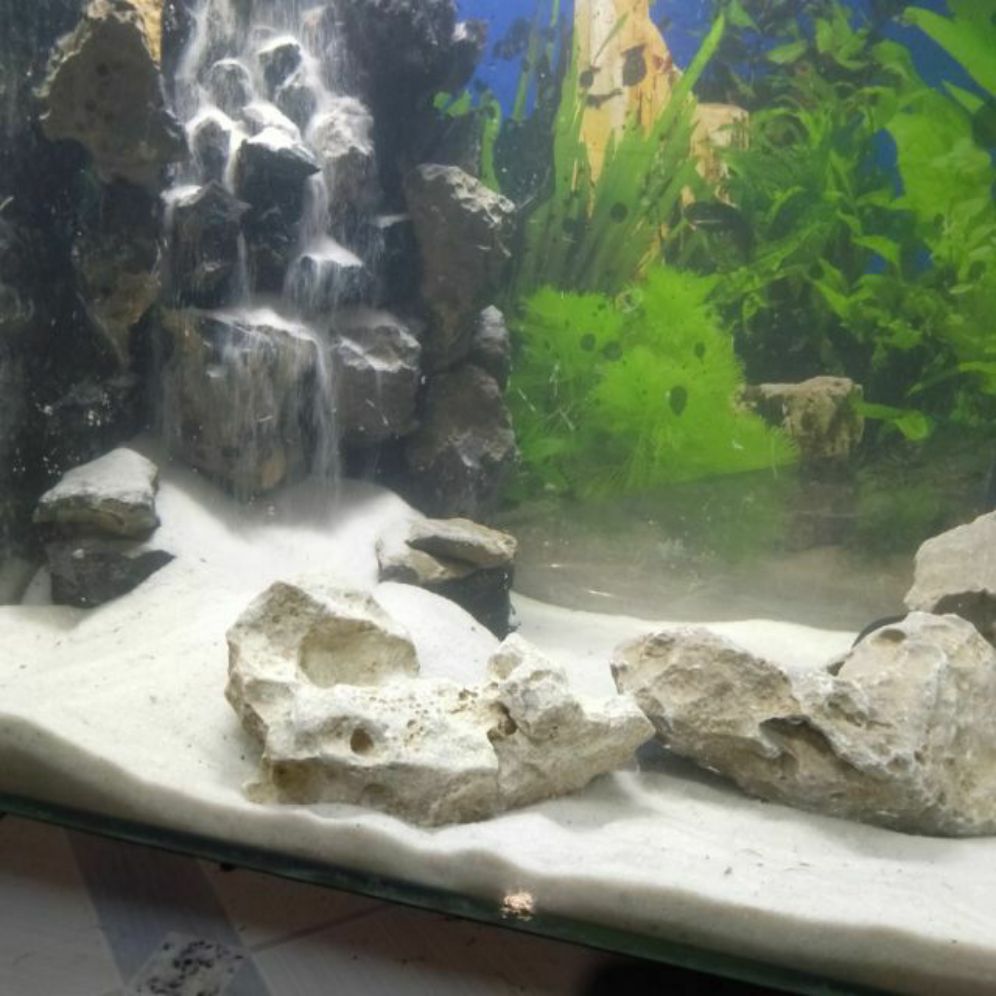 1kg Cát biển trang trí cho hồ cá, hồ thủy sinh