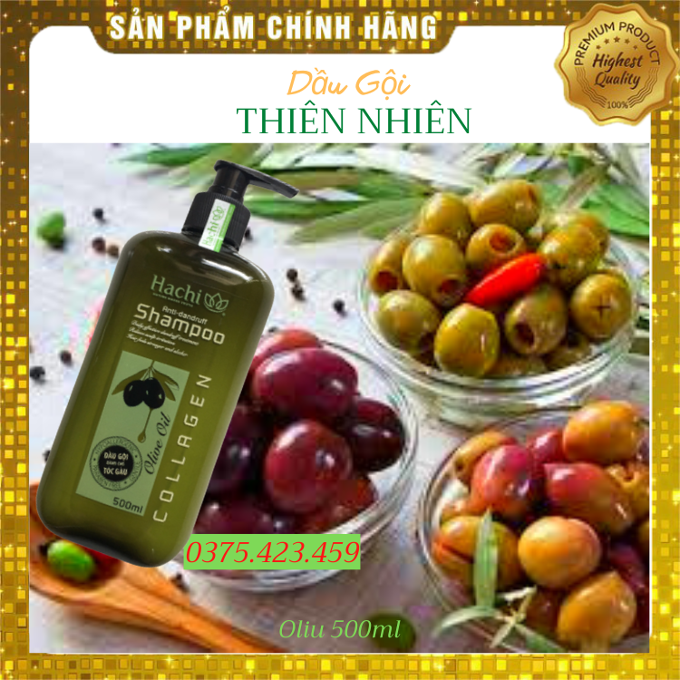 Cặp Dầu Gội Và Dầu Xã HACHI-Oliu- 500ml Dành Cho Tóc Gàu (1gội+1xã)