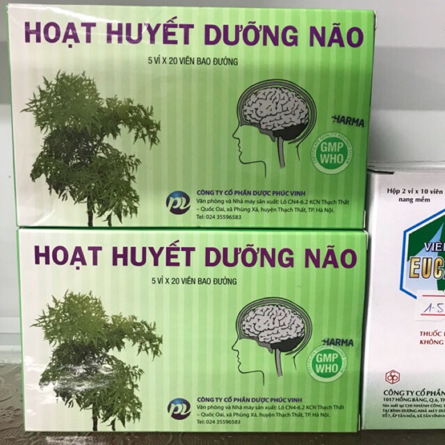 Hoạt huyết dưỡng não phúc vinh (hộp 100v)