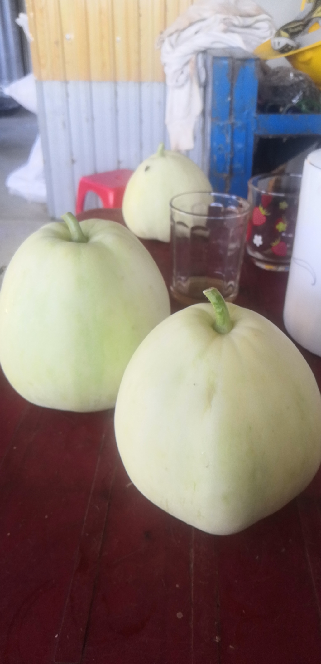 Hạt giống Dưa lê F1 Thúy Kiều 350