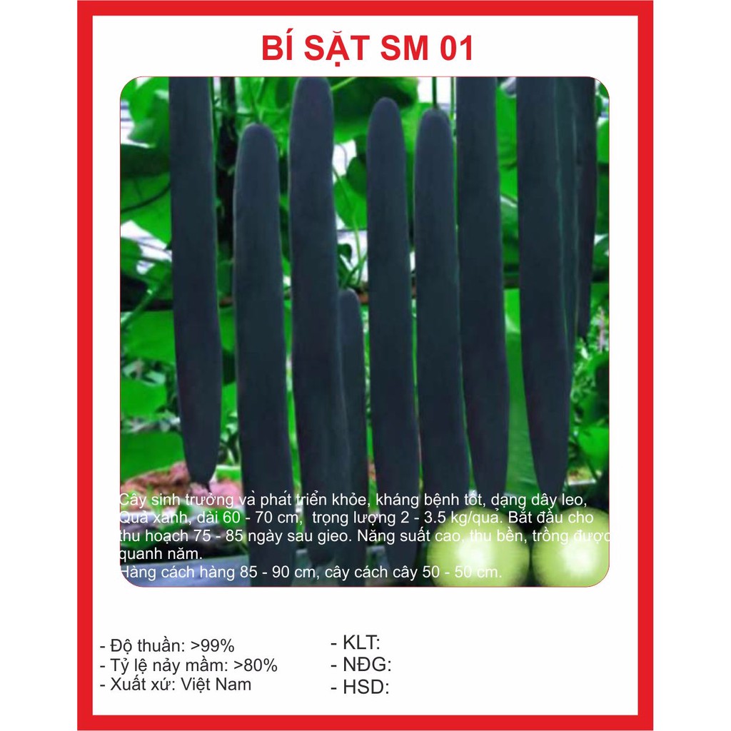 Hạt giống Bí Sặt 2gram ~ 30 hạt