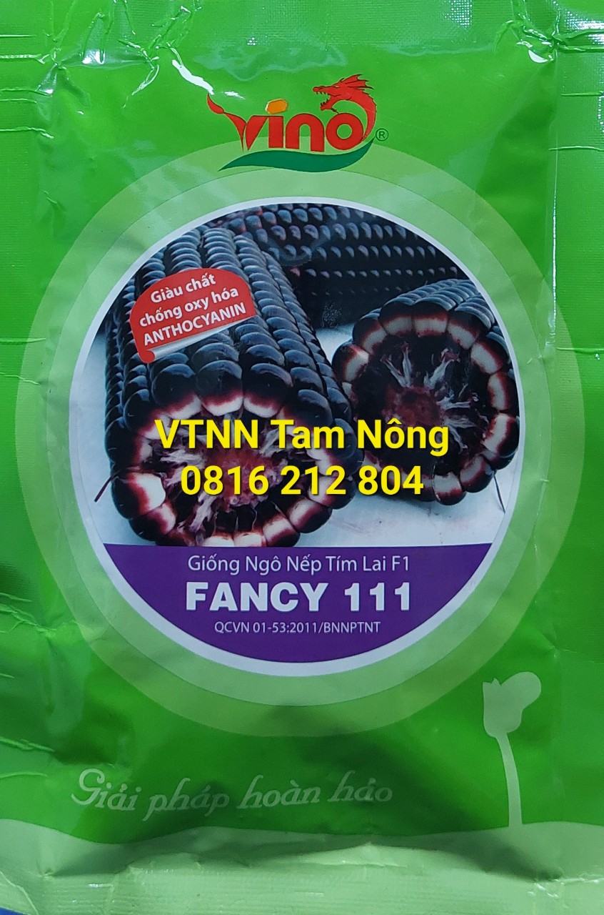 Hạt giống ngô nếp tím lai f1_ fancy 111_ kl. 100g