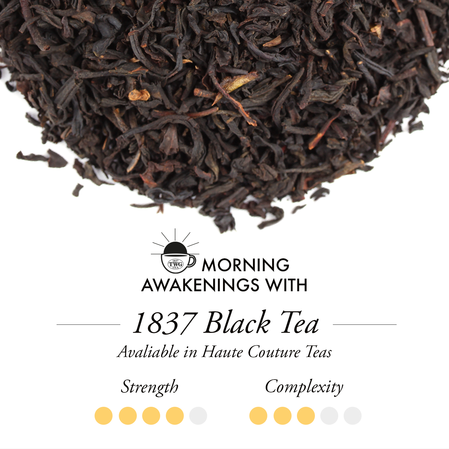 Trà TWG Tea - 1837 Black Tea (20g/100g) | Trà Đen - Trà biếu | VietMart.co