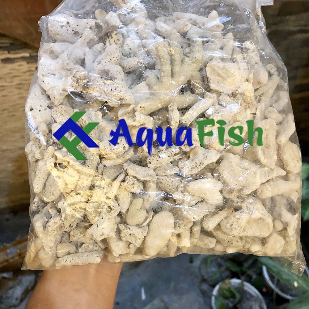 [HOÀN TIỀN 10%]San Hô Vụn Lọc Nước Bể Cá, Hồ Cá Koi 1kg