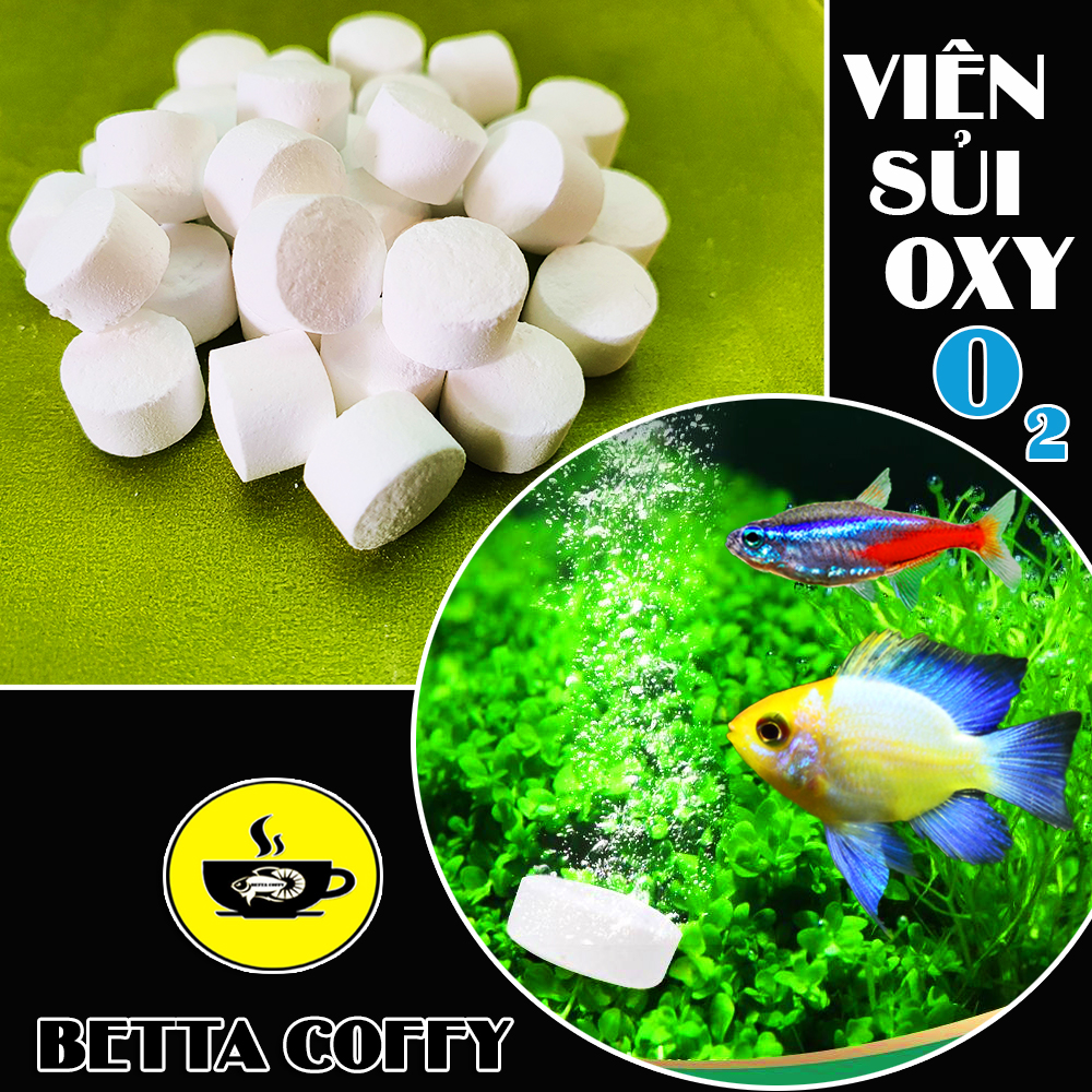 100g Oxy Viên Sủi Đậm Đặc - Cung Cấp O2 cho Cá
