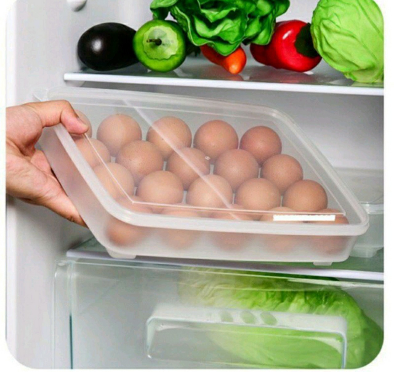 Khay đựng trứng 24 quả việt nhật# tiện dụng