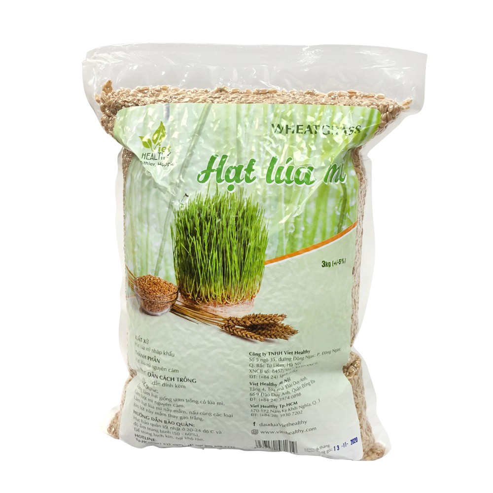 Hạt giống cỏ lúa mì Viethealthy 3kg