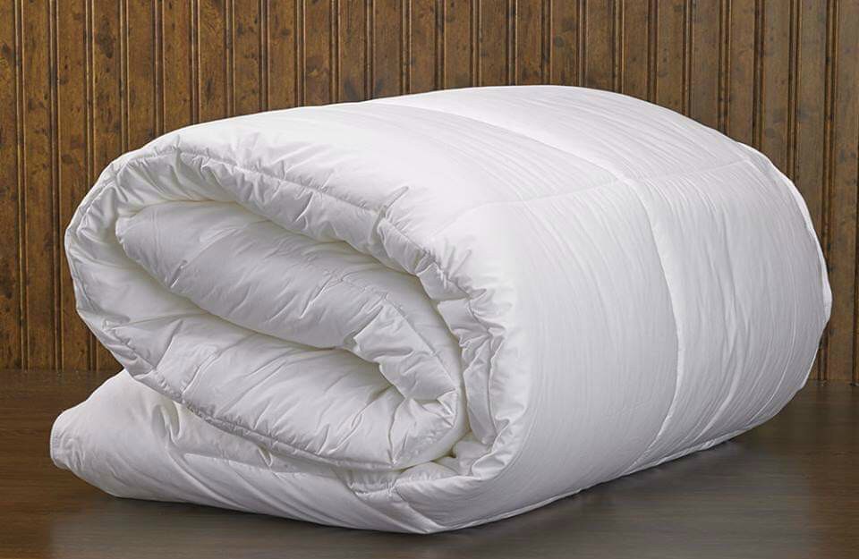 Ruột chăn khách sạn 2x2,2m